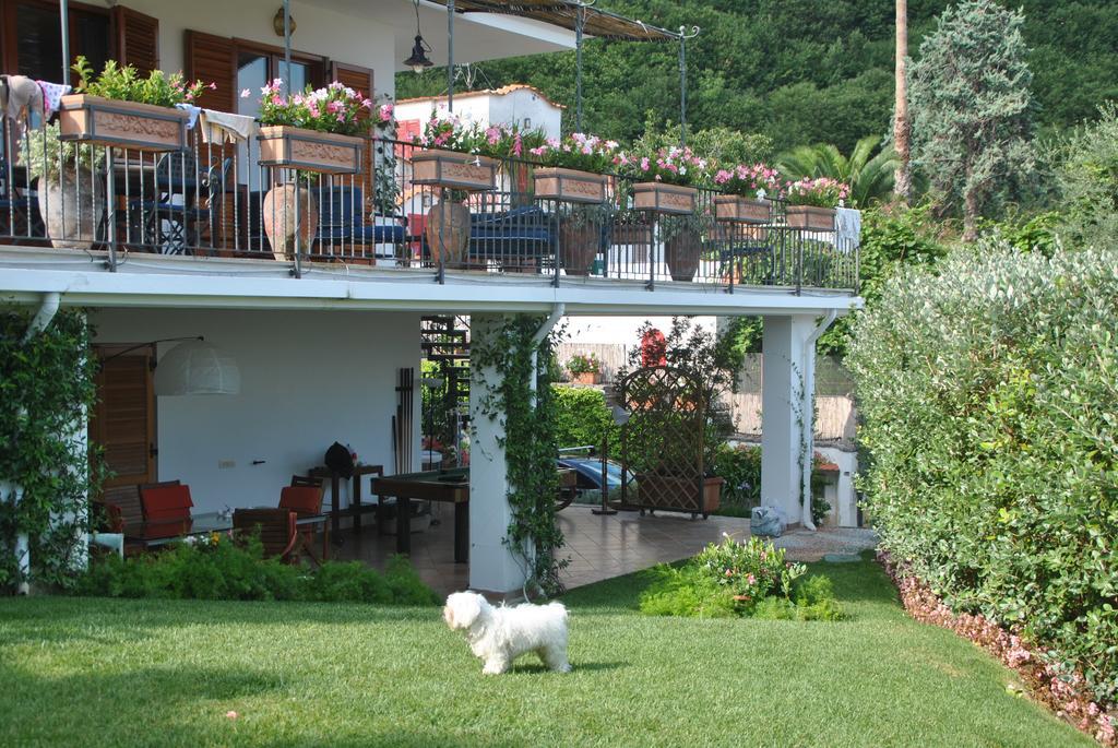 Casa Vacanze Villa Antonella By Gocce Віко-Екуенсе Екстер'єр фото